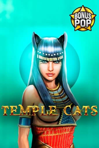 Temple Cats демо игра казино без регистрации | PokerDom