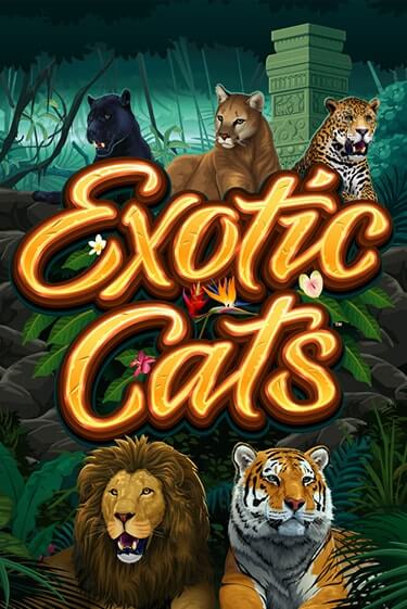 Exotic Cats демо игра казино без регистрации | PokerDom