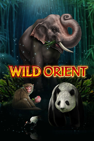 Wild Orient демо игра казино без регистрации | PokerDom